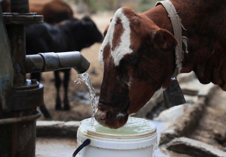 Nearly 68 million suffering from drought in Southern Africa, says regional bloc