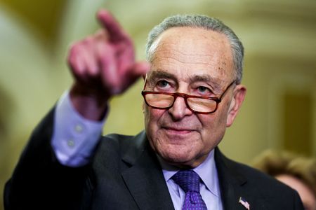 Schumer says US Senate can make progress on TikTok bill